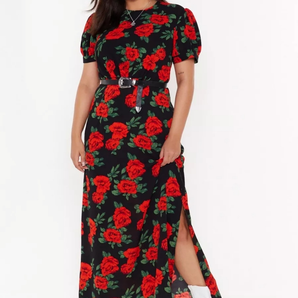 Nasty Gal Plus Rose Floral Dress